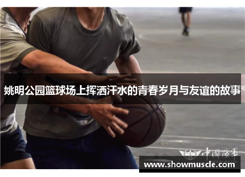 姚明公园篮球场上挥洒汗水的青春岁月与友谊的故事